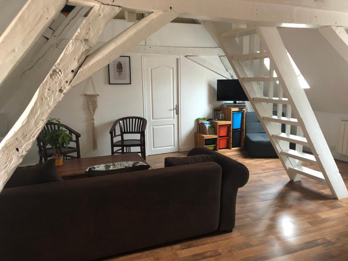 Le Grand Appartement - 90M2- 2 Chb , 1 Mezzanine - 6Pers Romorantin-Lanthenay Dış mekan fotoğraf